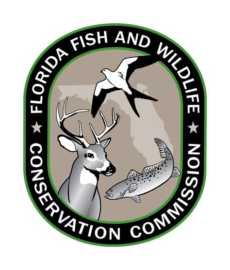 Florida fish and wildlife - MyFWC Florida Fish and Wildlife, Tallahassee, Florida. 344,955 likes · 8,561 talking about this · 1,392 were here. Official page for Florida Fish and...